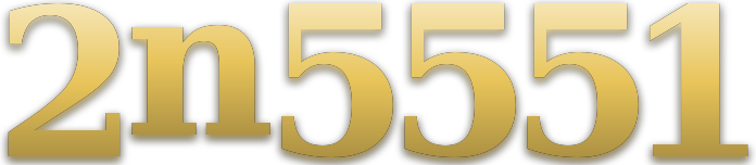 2n5551 logo